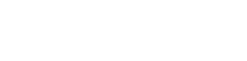 Castillero Auditores