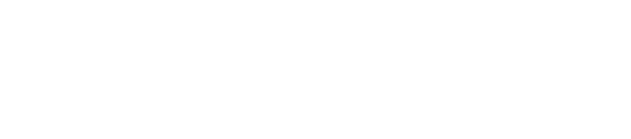 Sonteck